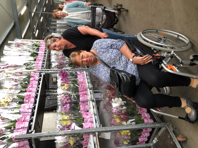orchideen-kwekerij-76c0ad4e-91a6-4b58-aa6a-29888eb50b6c
